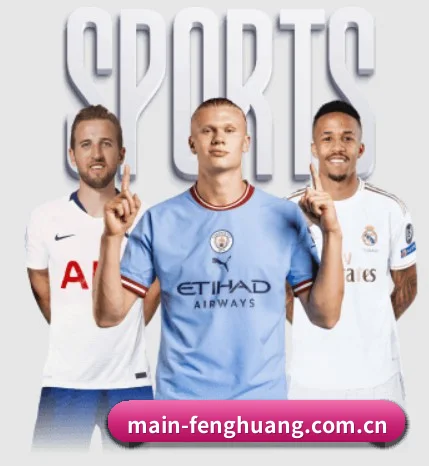 凤凰彩票网页端 APP